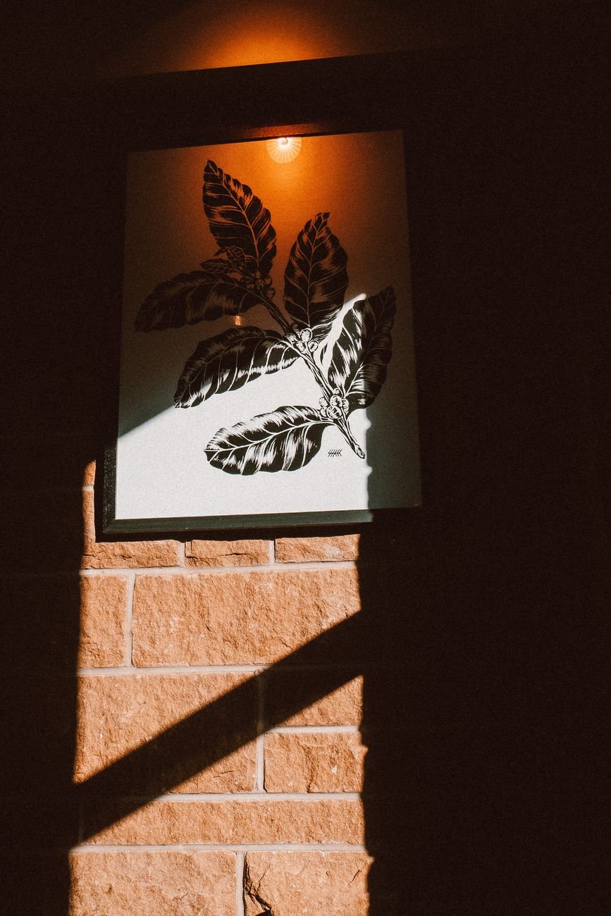 Framed botanical print casting intricate shadows on a brick wall in warm lighting